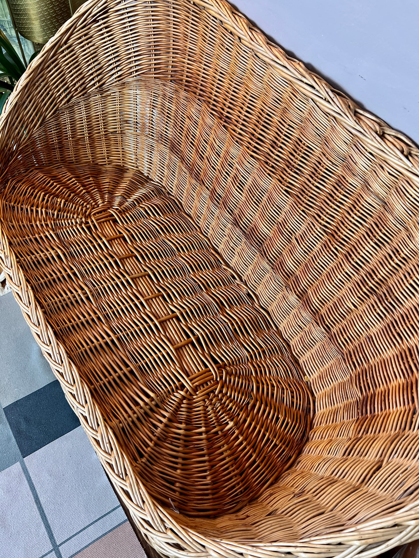 The Dejan Woven Loveseat