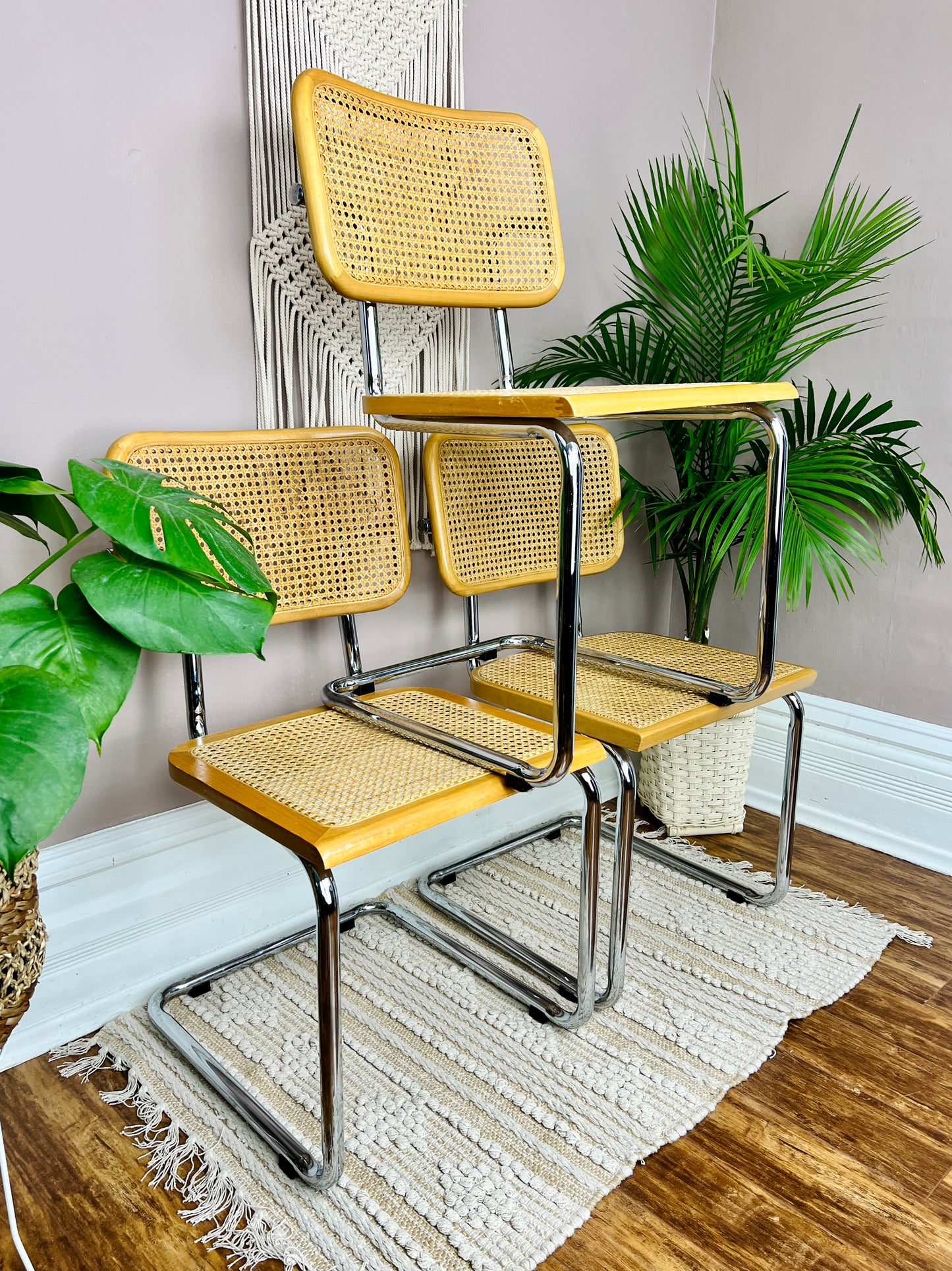 The Cesca Chairs (only 1 left)