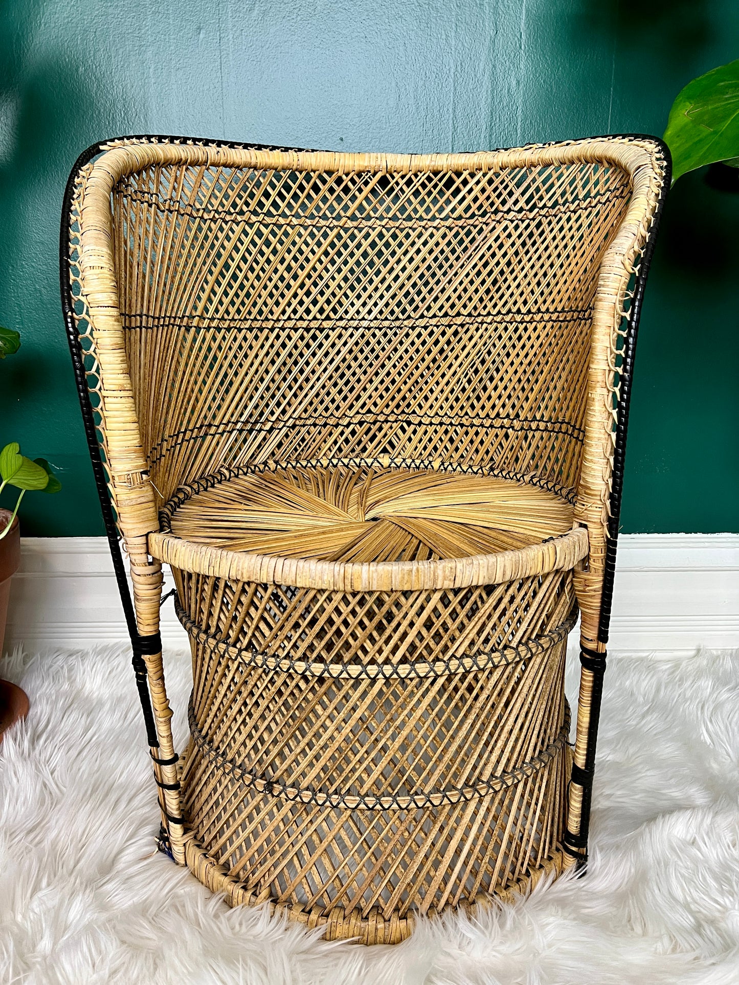 The Little Peacock Chair