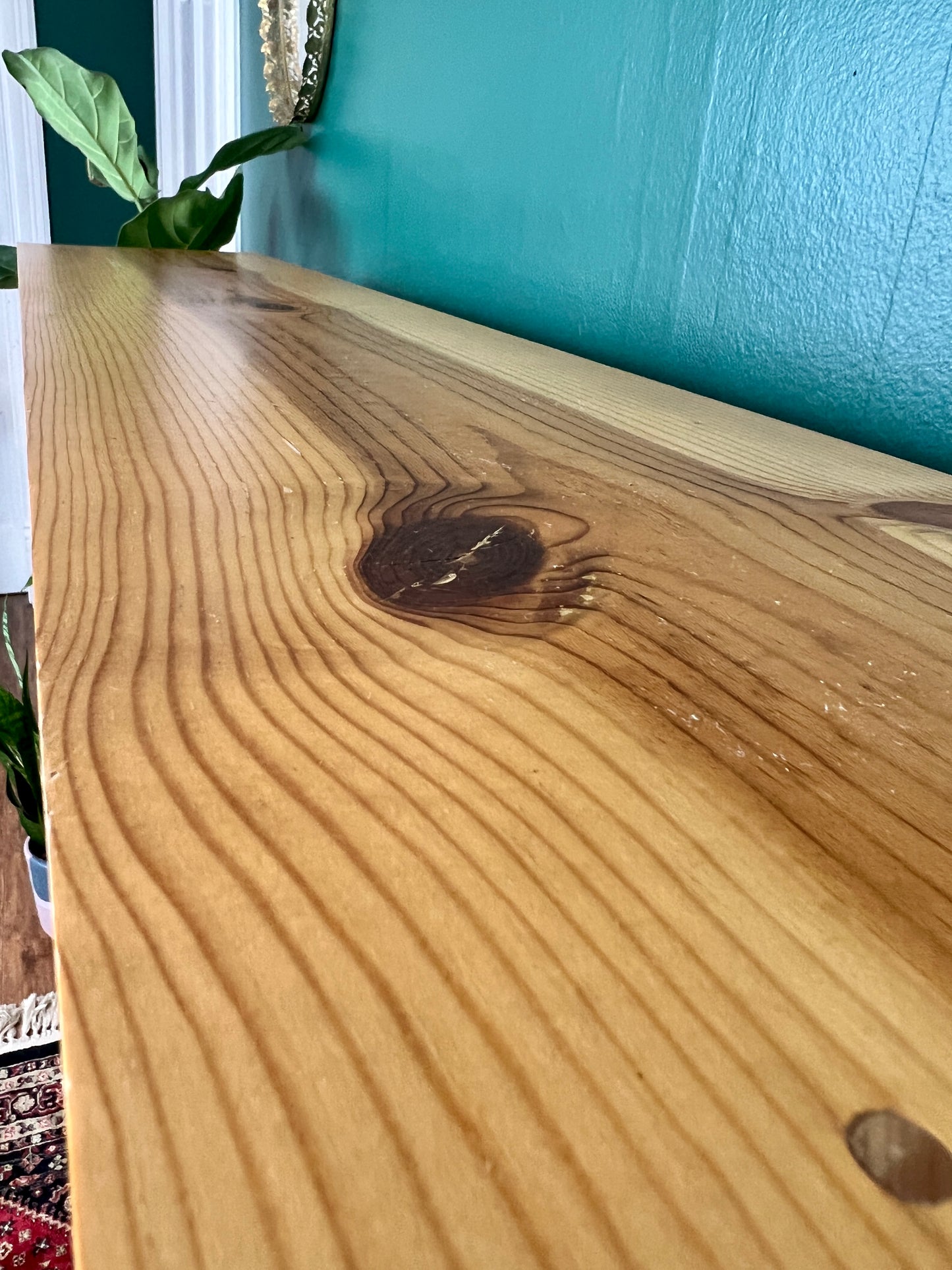 The Lodgepole Pine Shelf