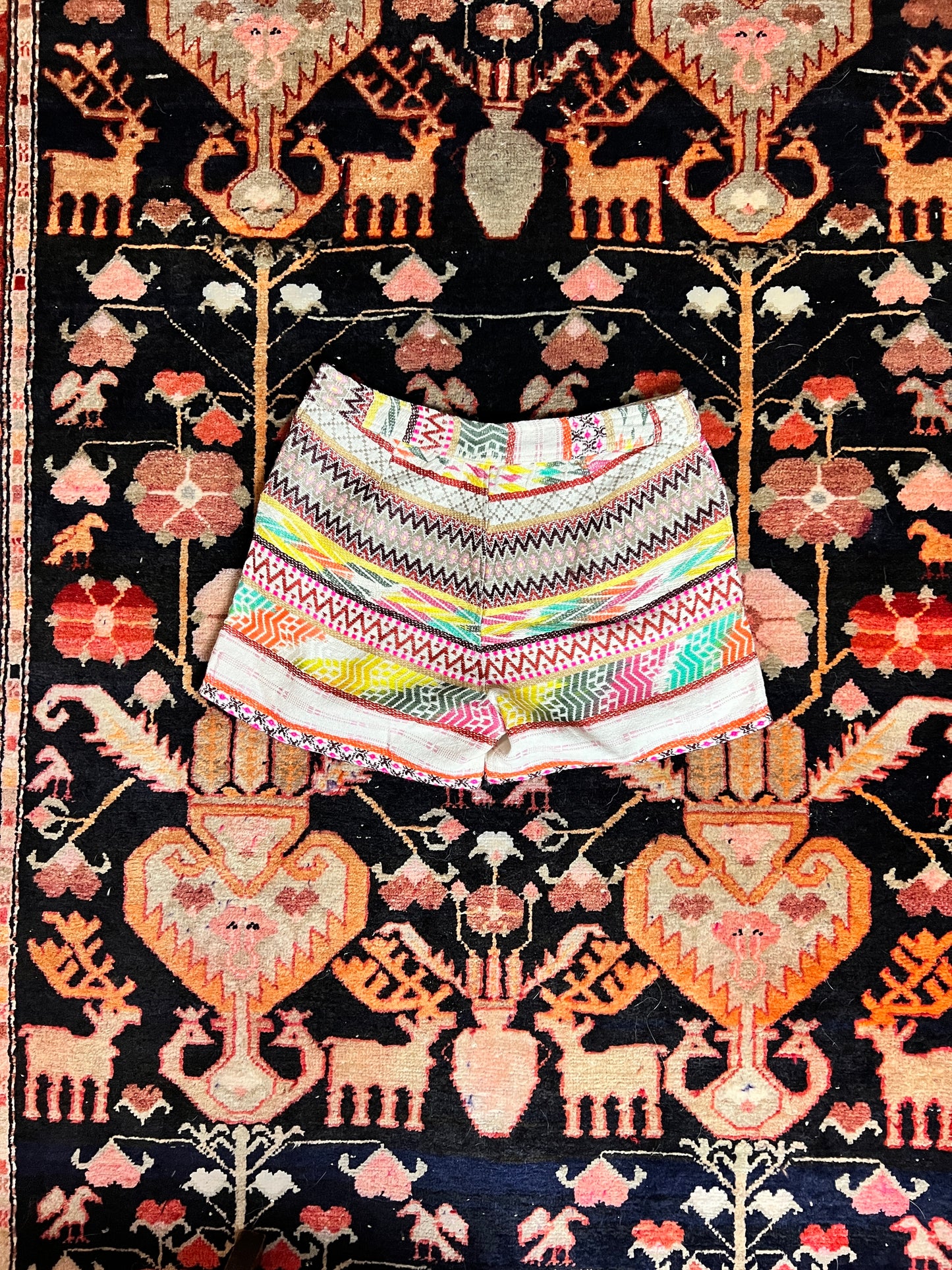 Multi-colored Shorts