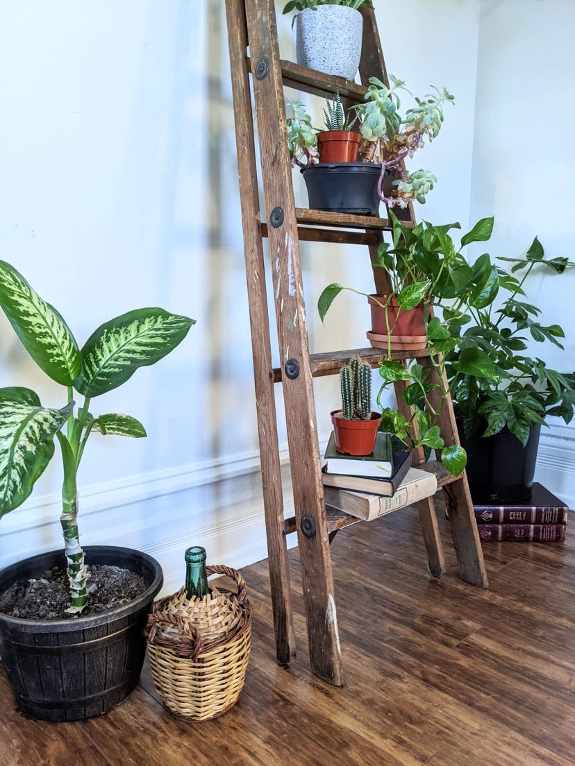 It’s A Ladder Shelf!