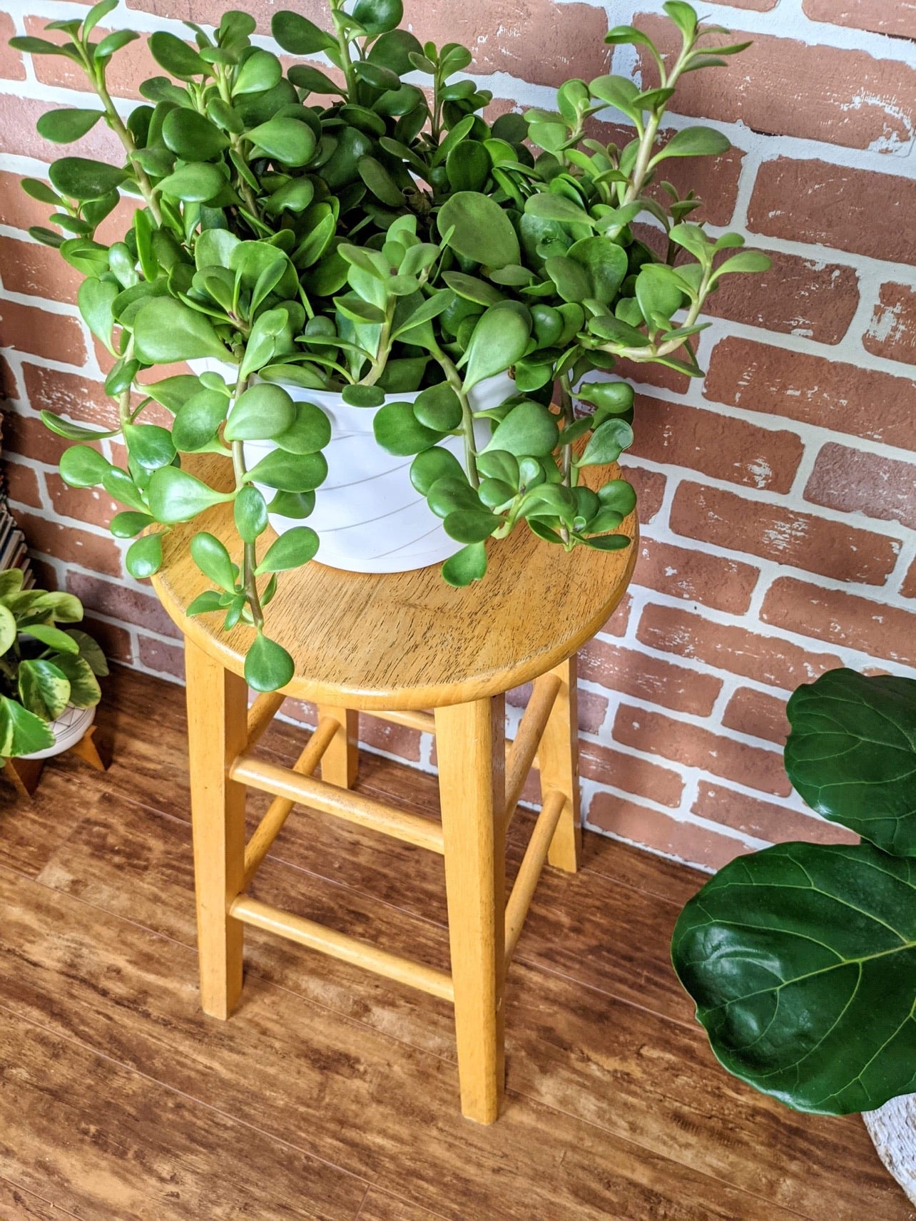 The Pine Stool