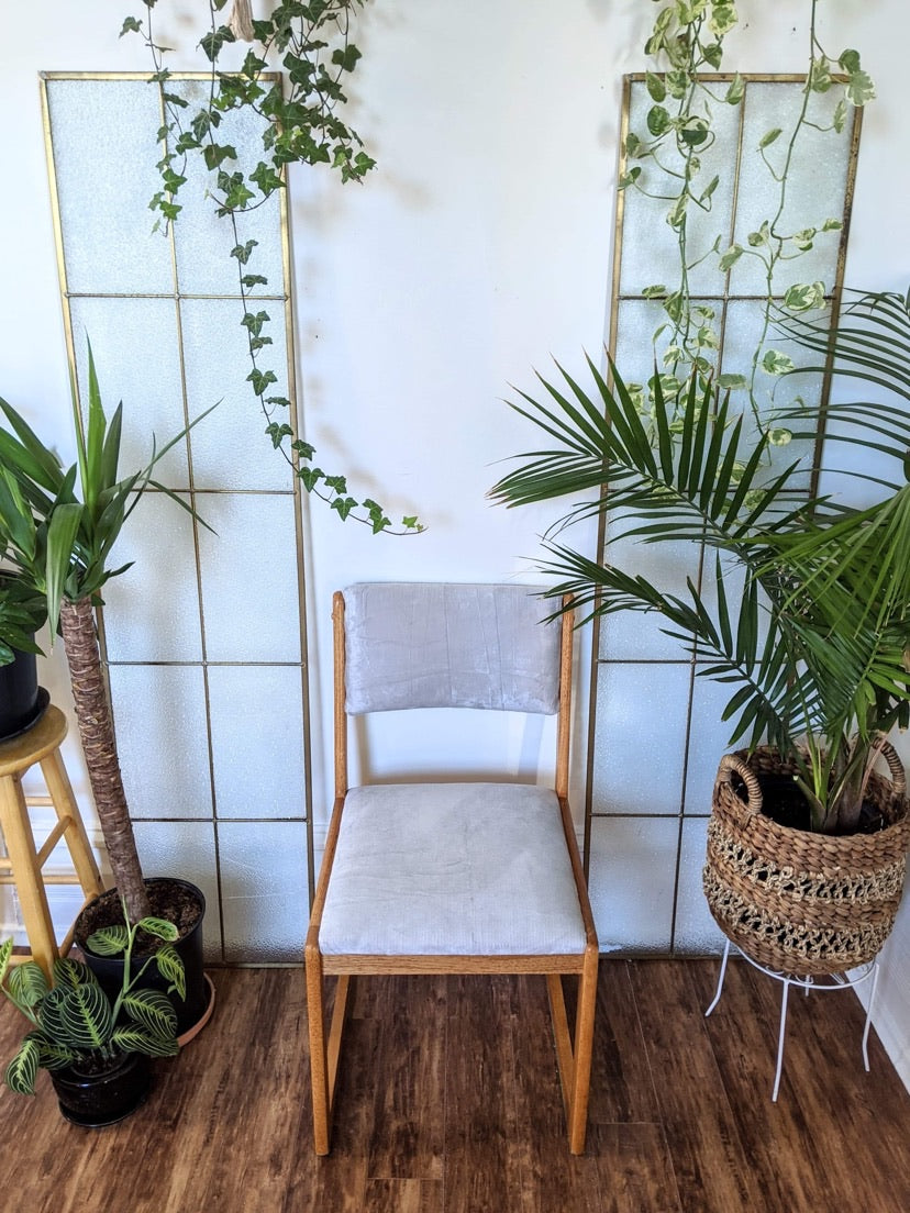 The Silver Fox Chairs (Only 1 left!)