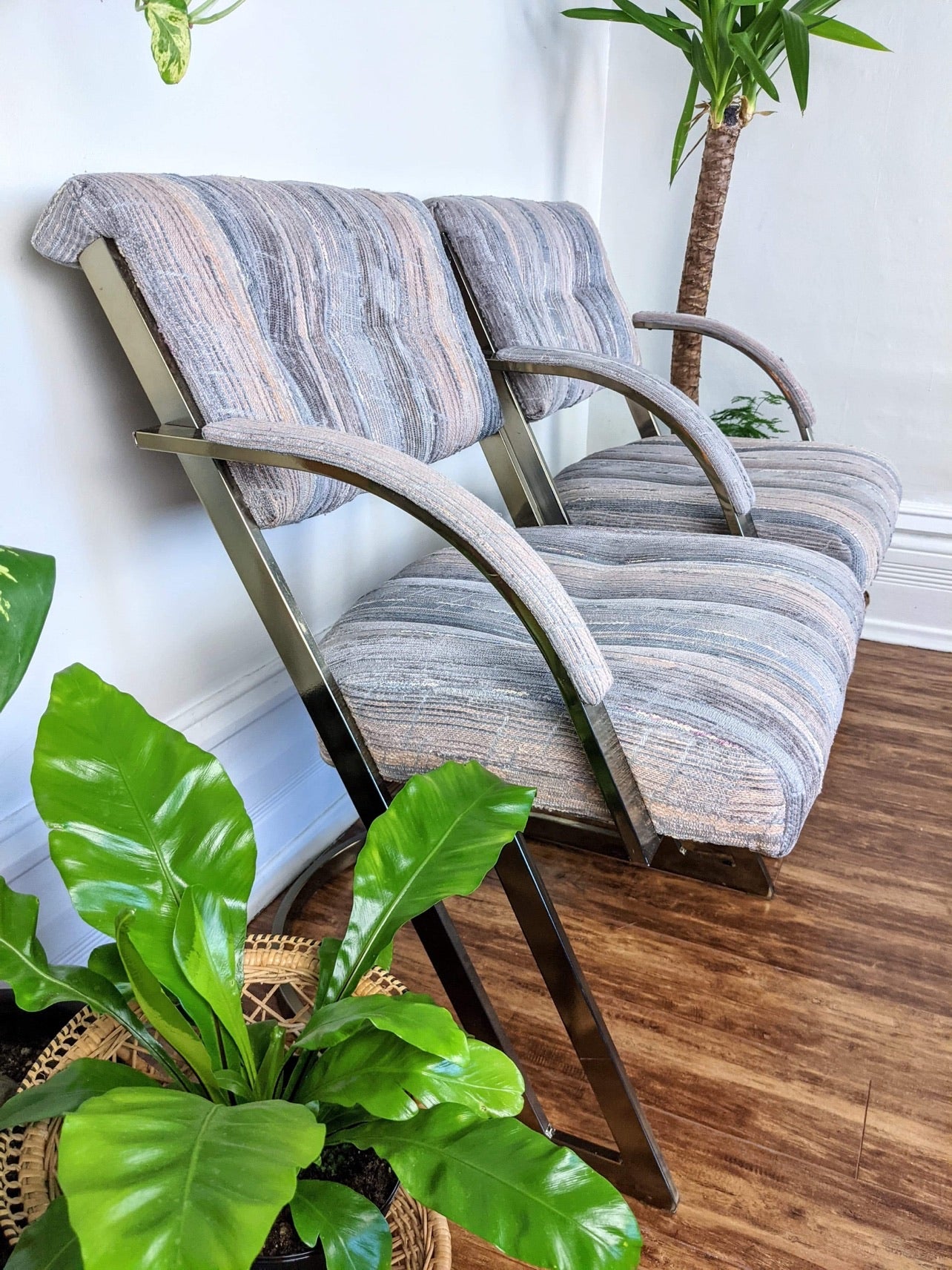 The Saturn Chairs