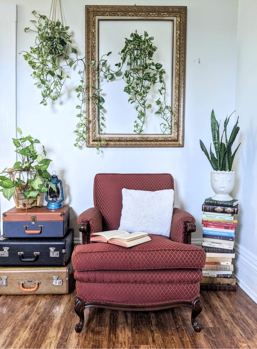 The Cheshire Arm Chair