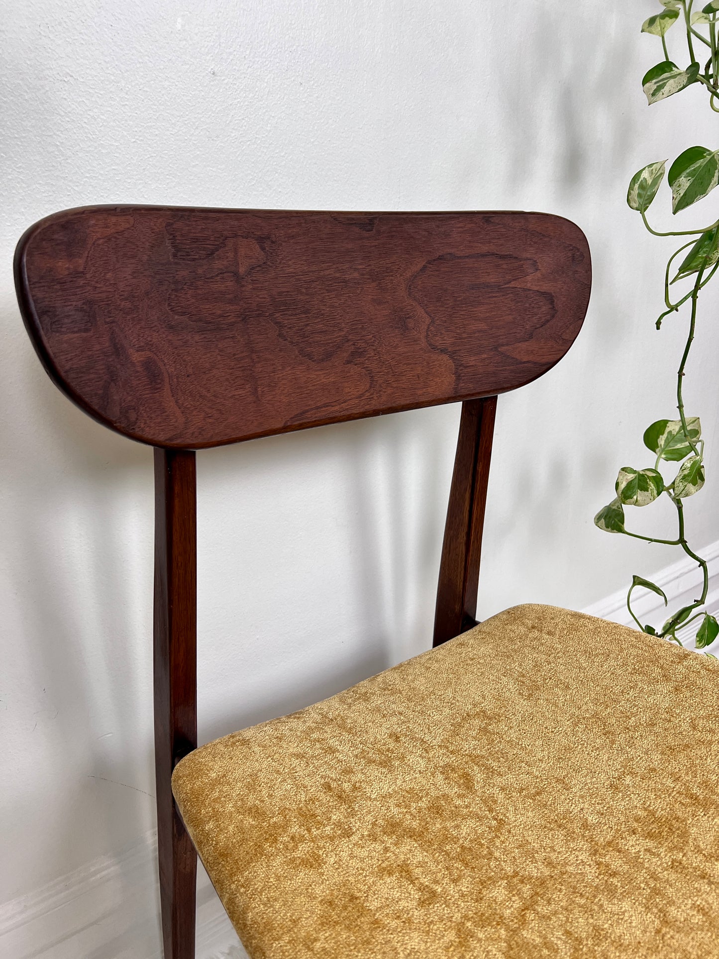 The Valmar Chairs
