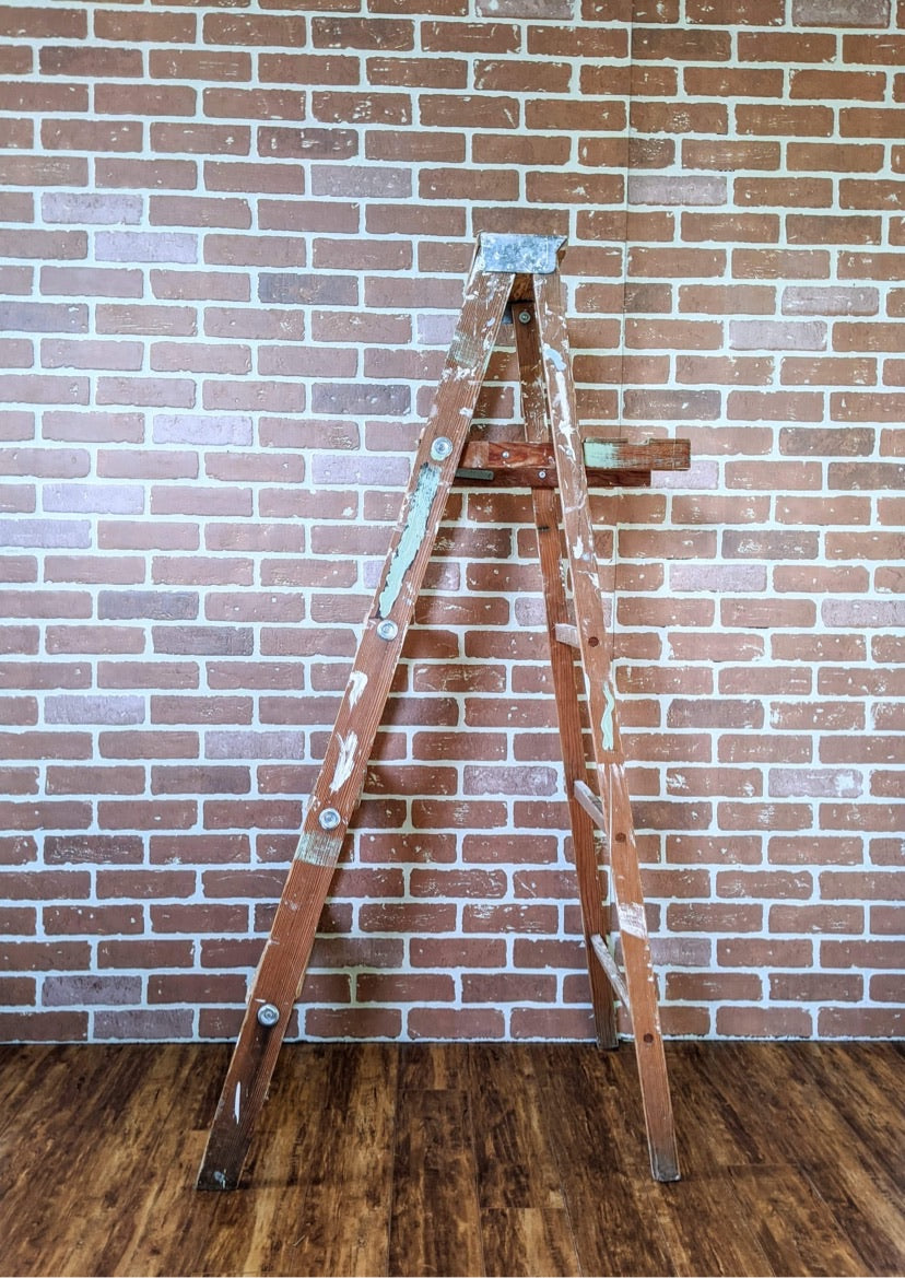 Vintage Ladder Shelf Paint Splatter Plants Victoria BC Secondhand