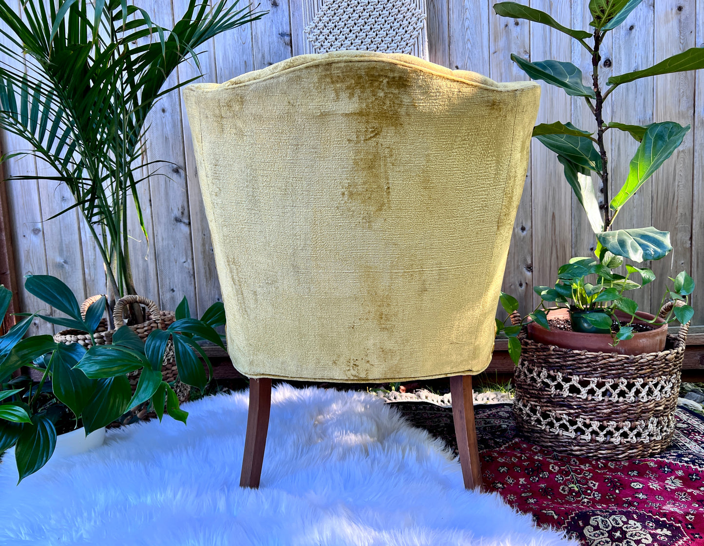 The Francine & Gilbert Chairs