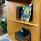 The Mosby Corner Shelfi