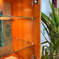 The Teak Beast Wall Unit