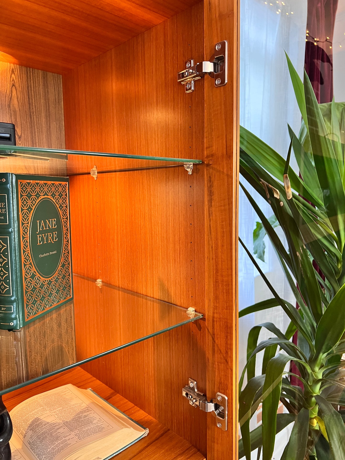 The Teak Beast Wall Unit