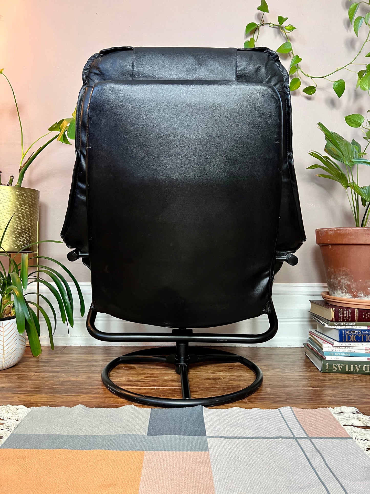 The Black Stallion Recliner & Ottoman