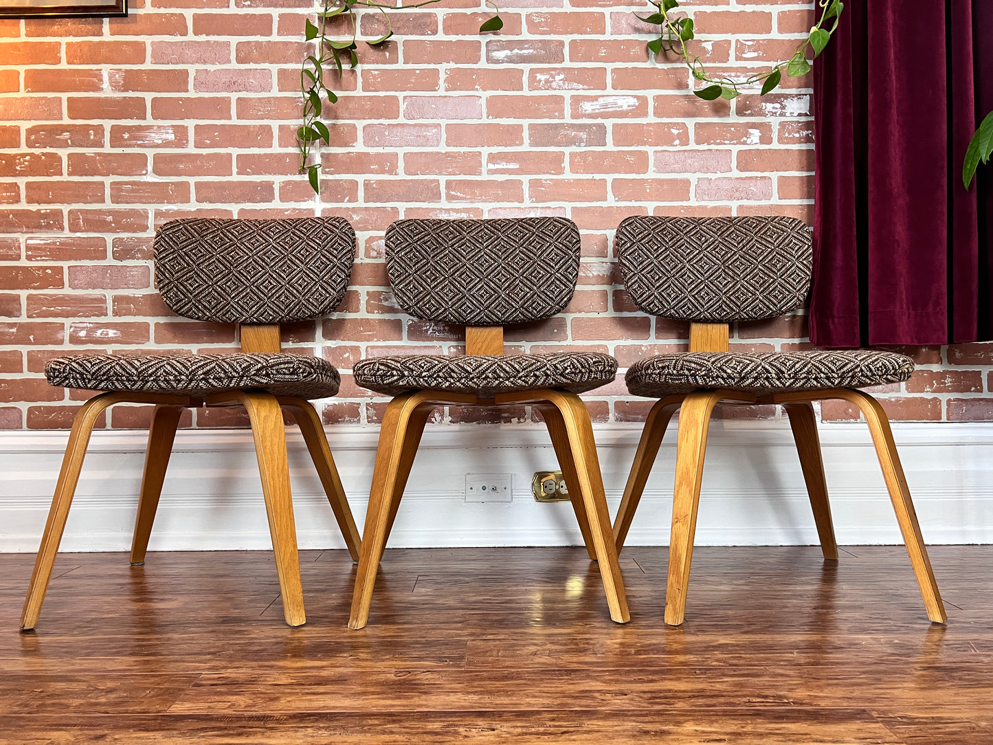 The Starlight Lounge Chairs