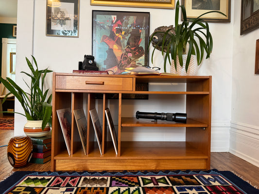 Vintage Danish Teak Record Cabinet