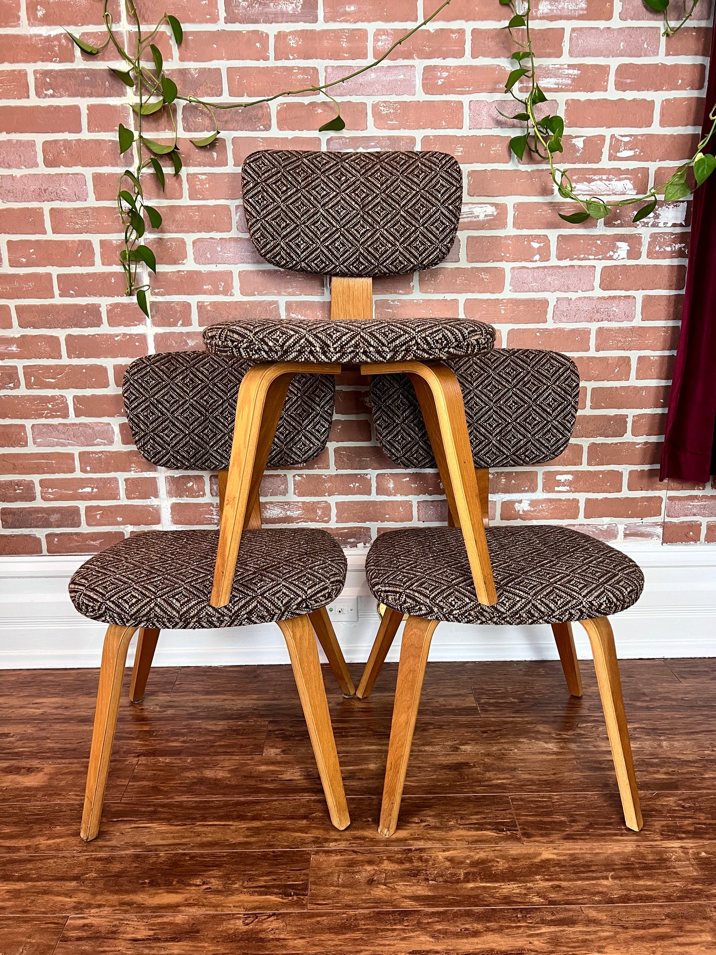 The Starlight Lounge Chairs