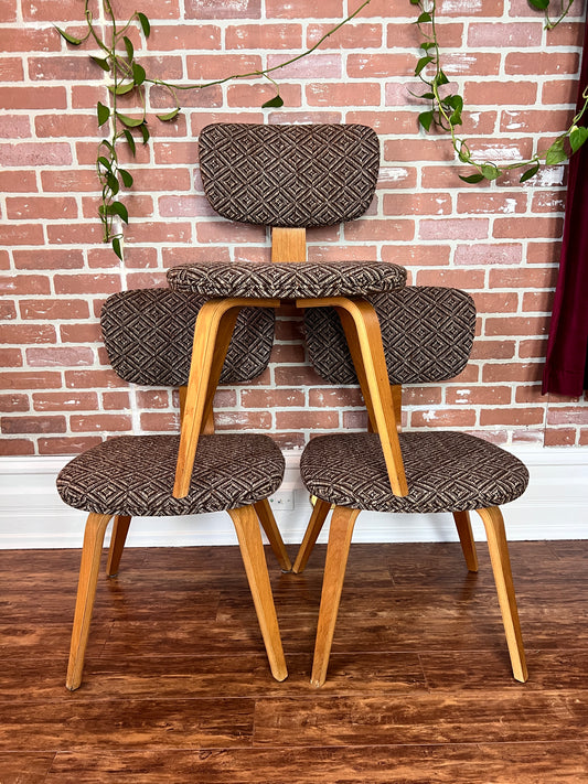 The Starlight Lounge Chairs