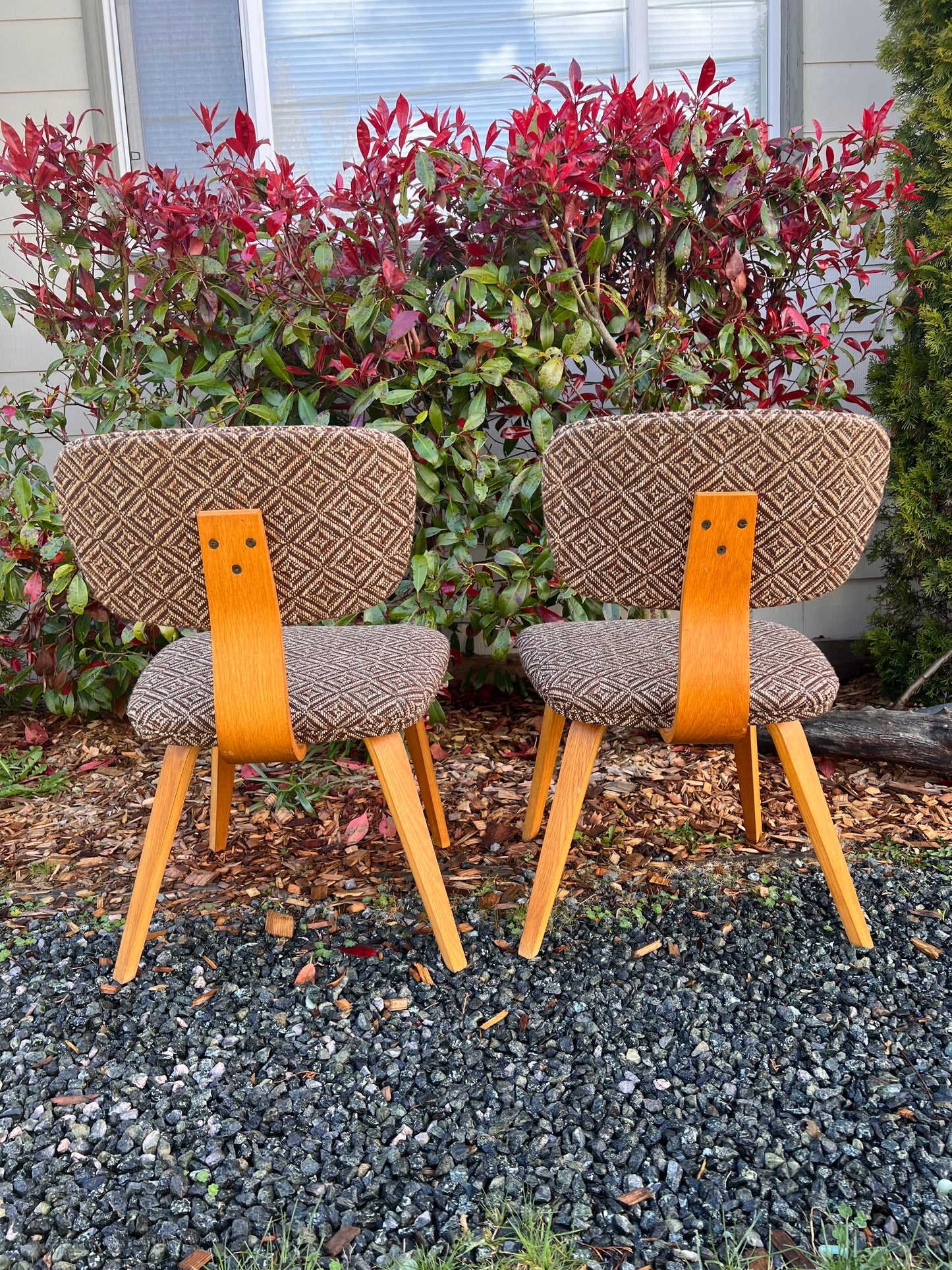 The Jacquard Bentwood Chairs