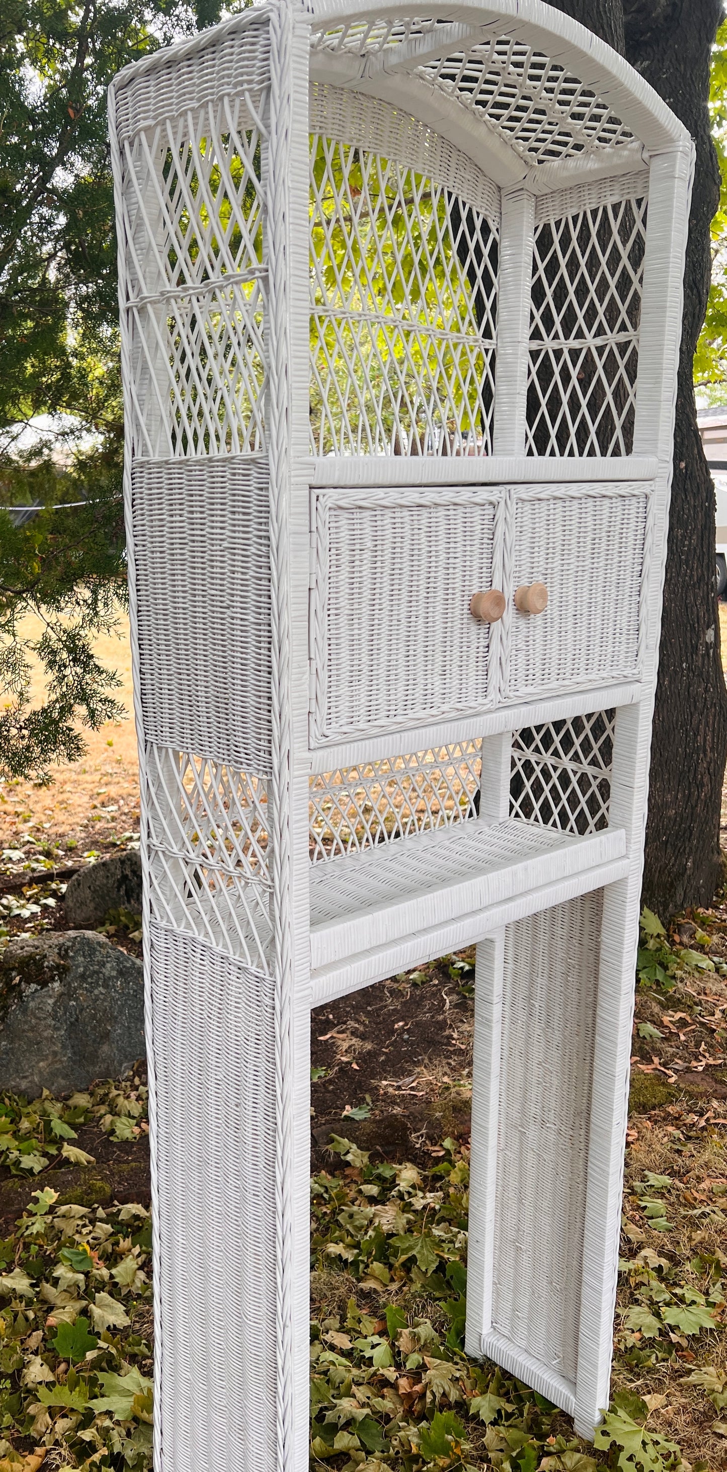 The Over the Commode Storage