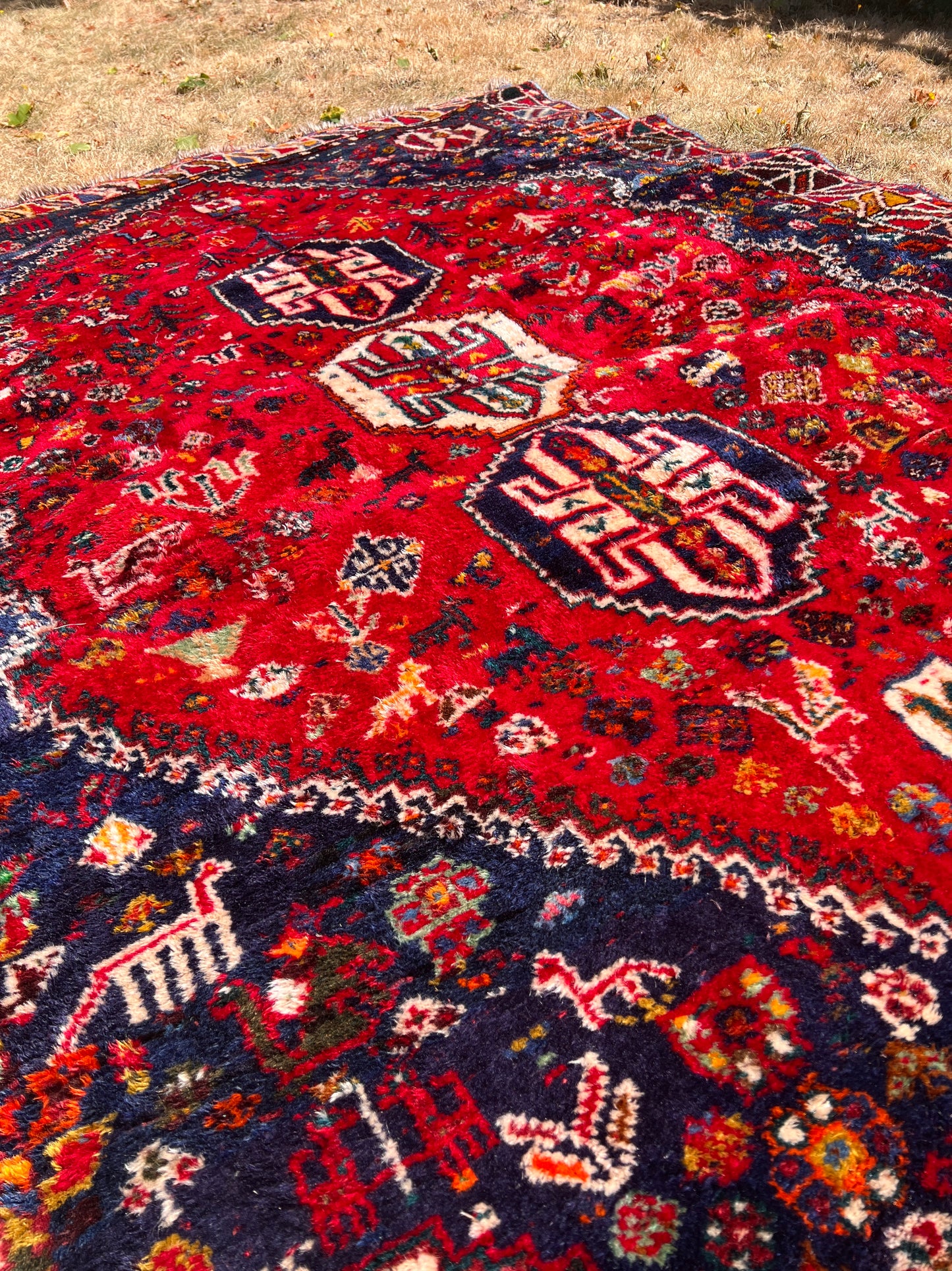 Beautiful Persian Wool Rug