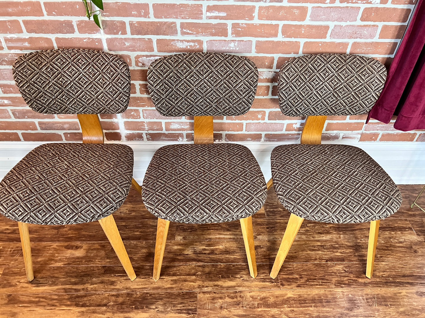 The Starlight Lounge Chairs