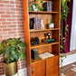 The Emil Danish Teak Bookcase