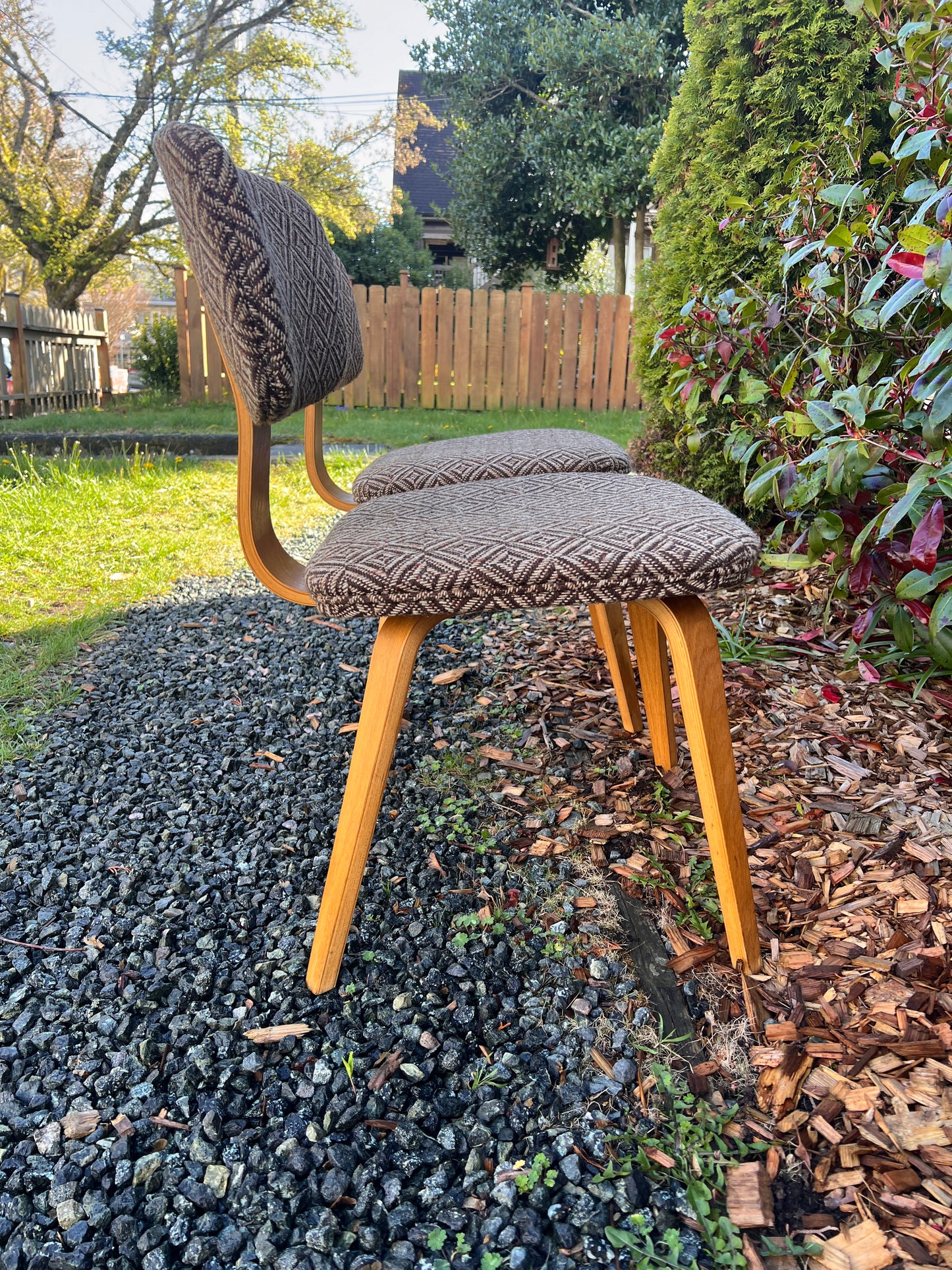 The Jacquard Bentwood Chairs