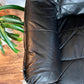 The Black Stallion Recliner & Ottoman