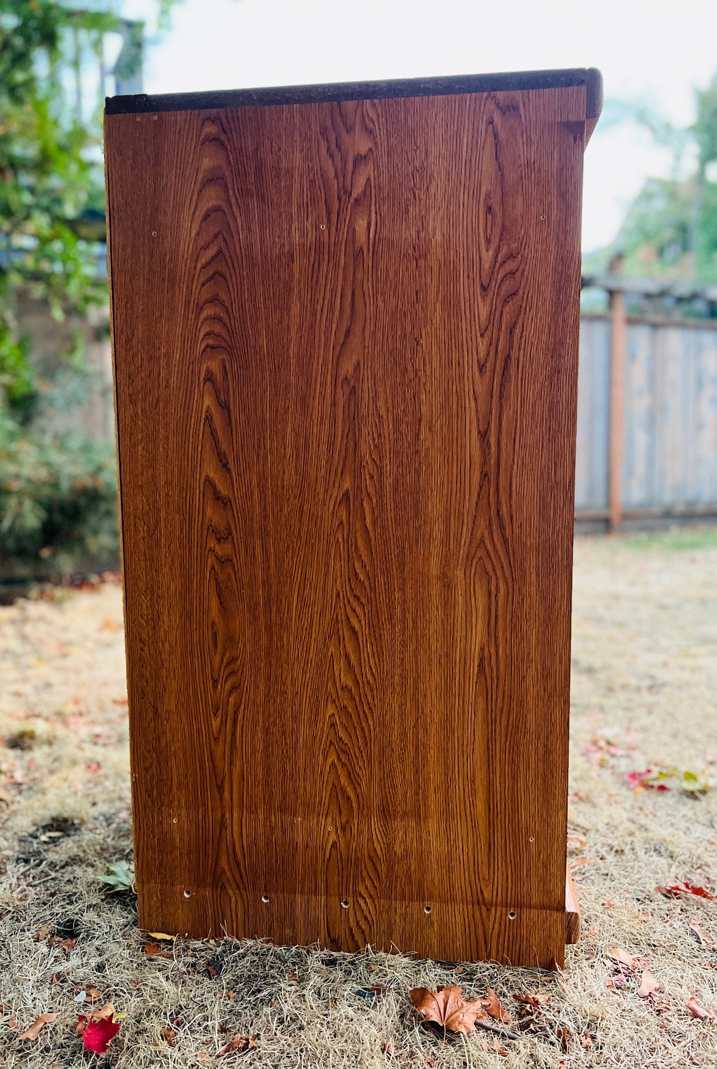 The Oakland Cabinet