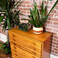 The Pinegrove Dresser