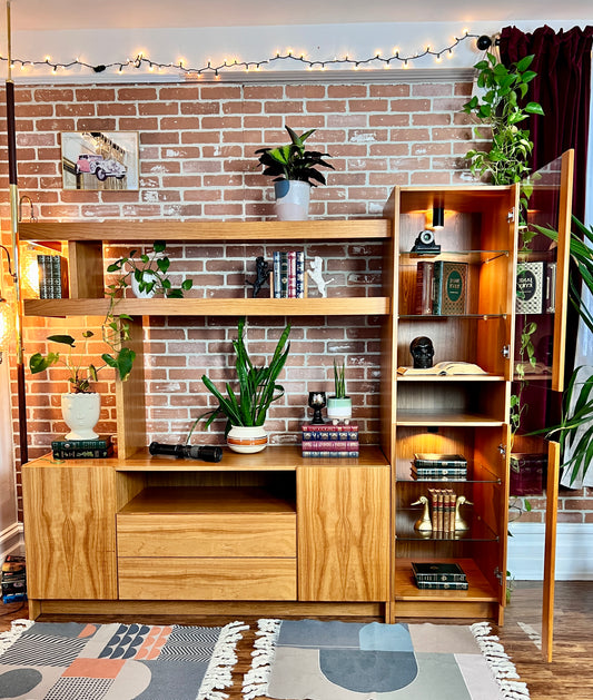The Teak Beast Wall Unit