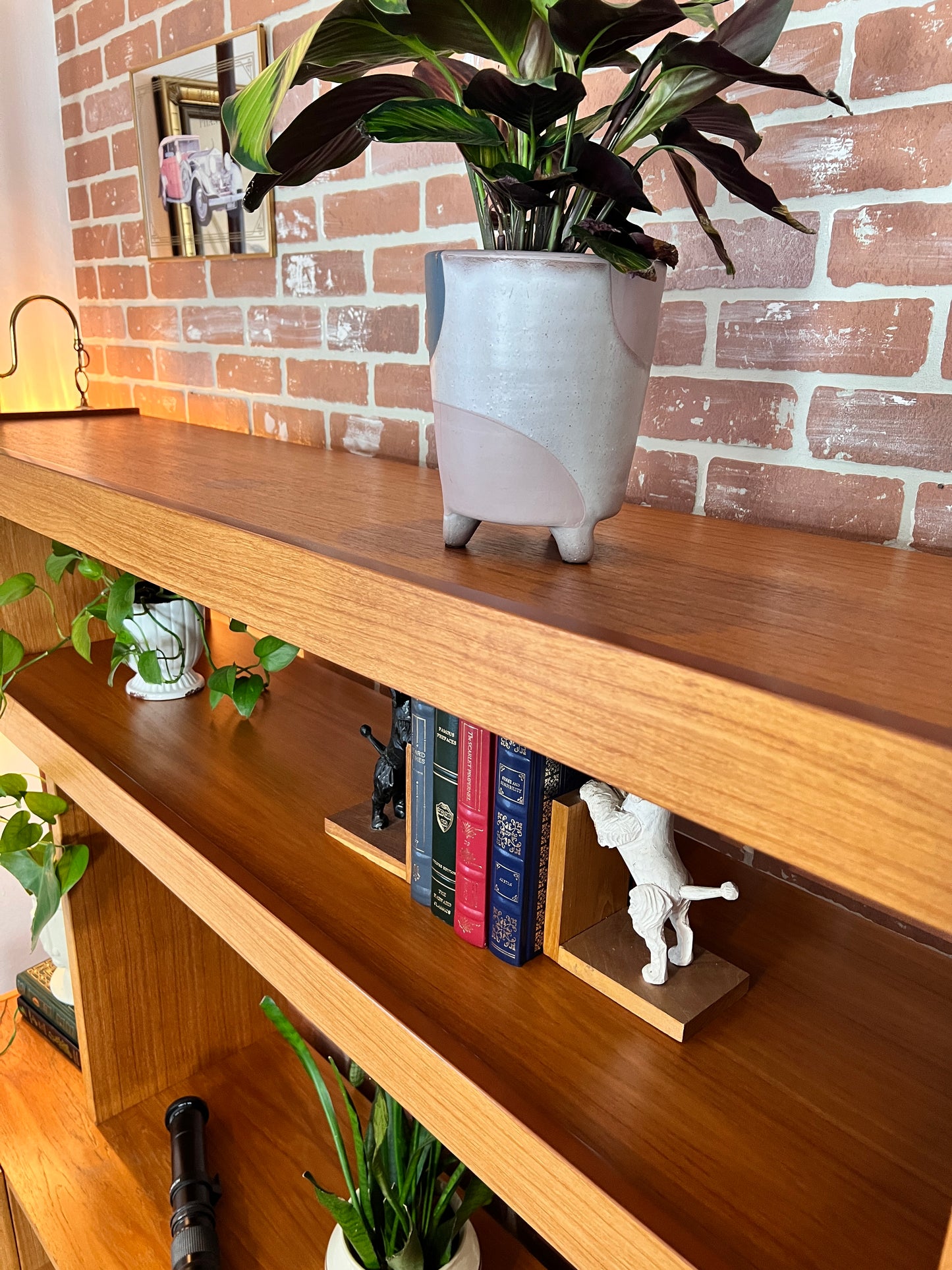 The Teak Beast Wall Unit