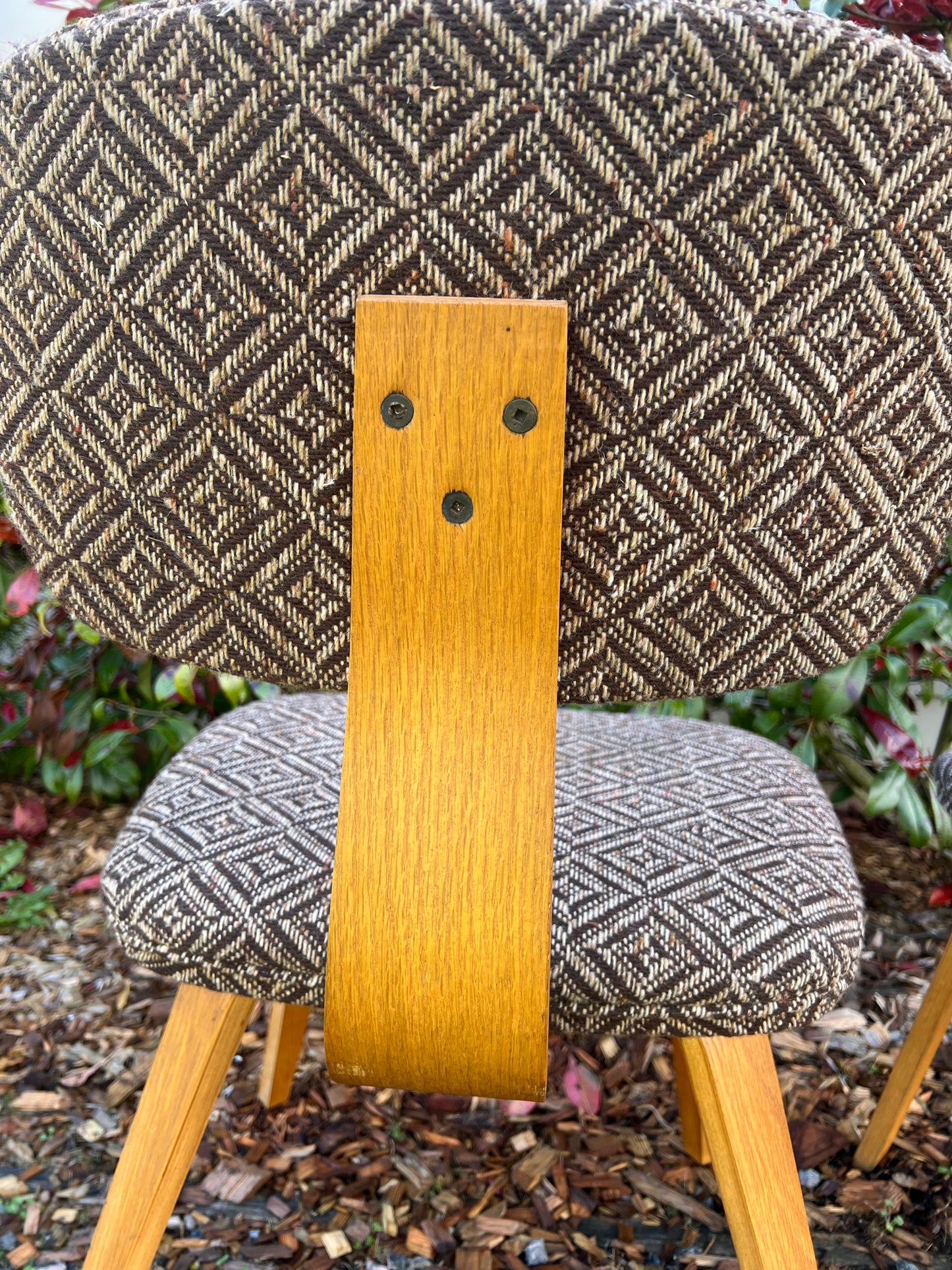 The Jacquard Bentwood Chairs