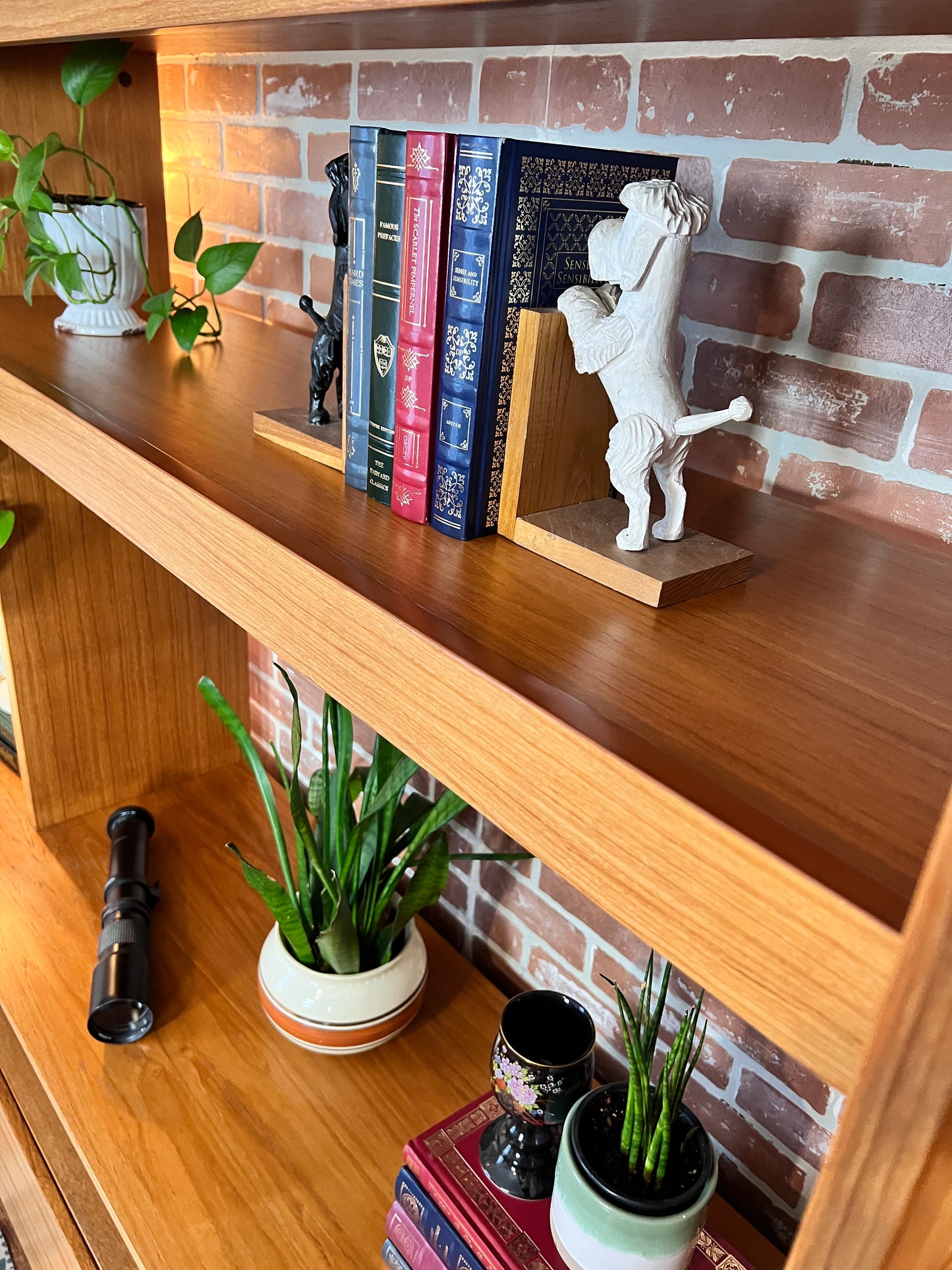 The Teak Beast Wall Unit