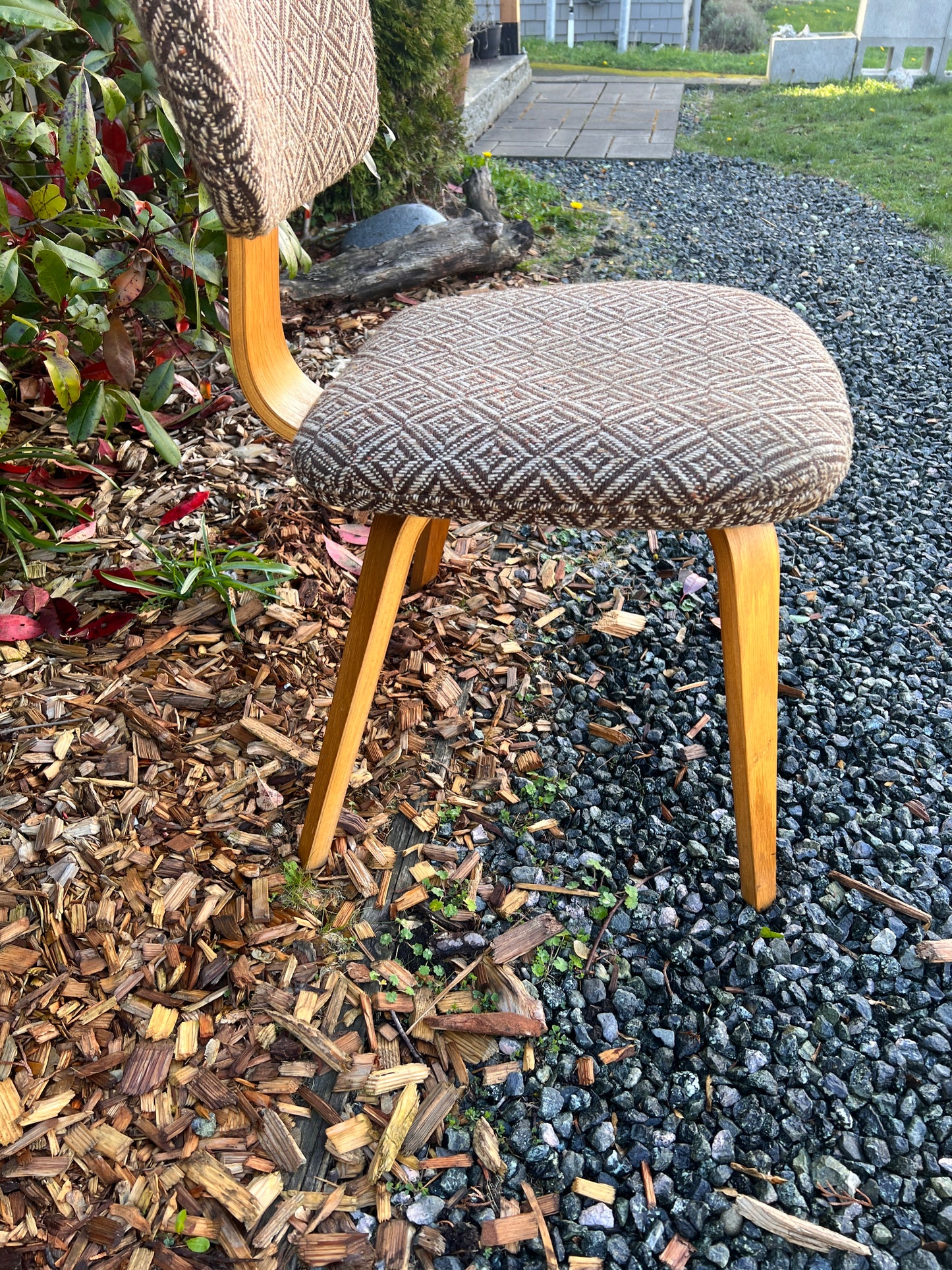 The Jacquard Bentwood Chairs