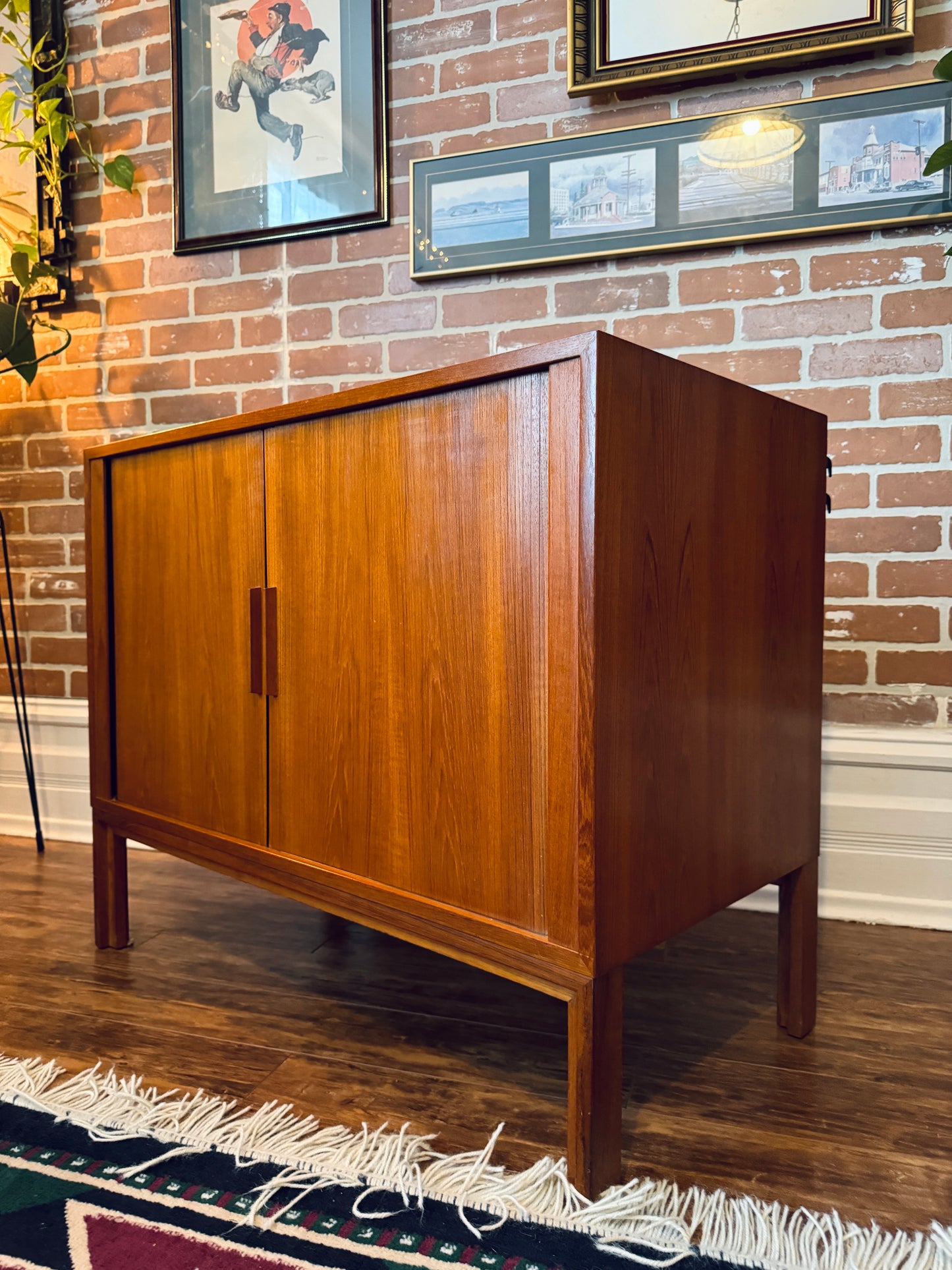 Danish Teak Record Cabinet