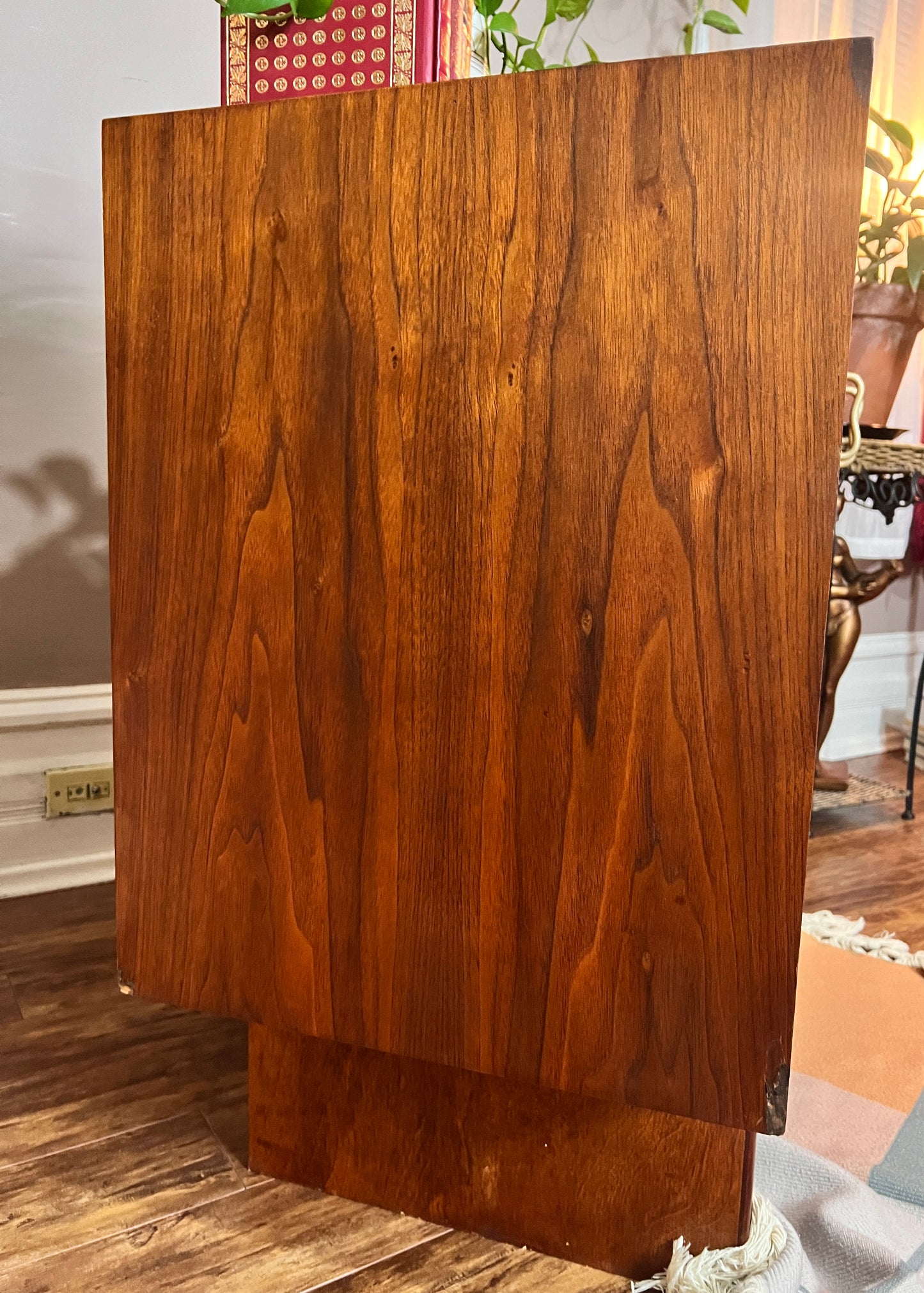 The Petras Rosewood Cabinet