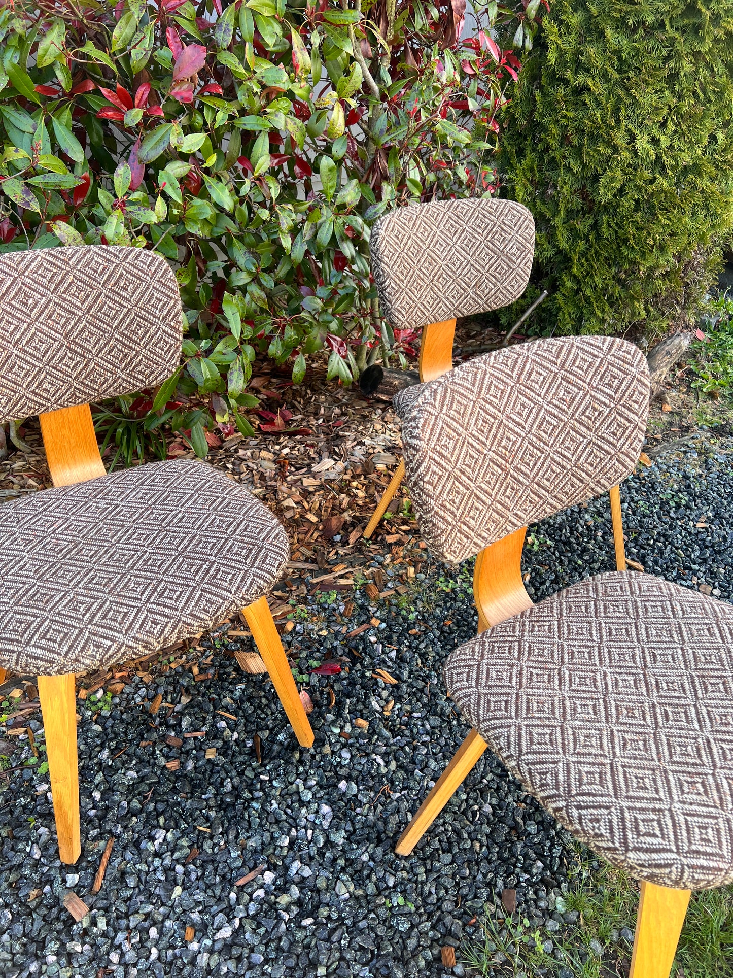 The Jacquard Bentwood Chairs