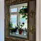 Vintage Gold Tone Safari Style Mirror