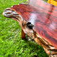 Vintage Live Edge Solid Wood Coffee Table