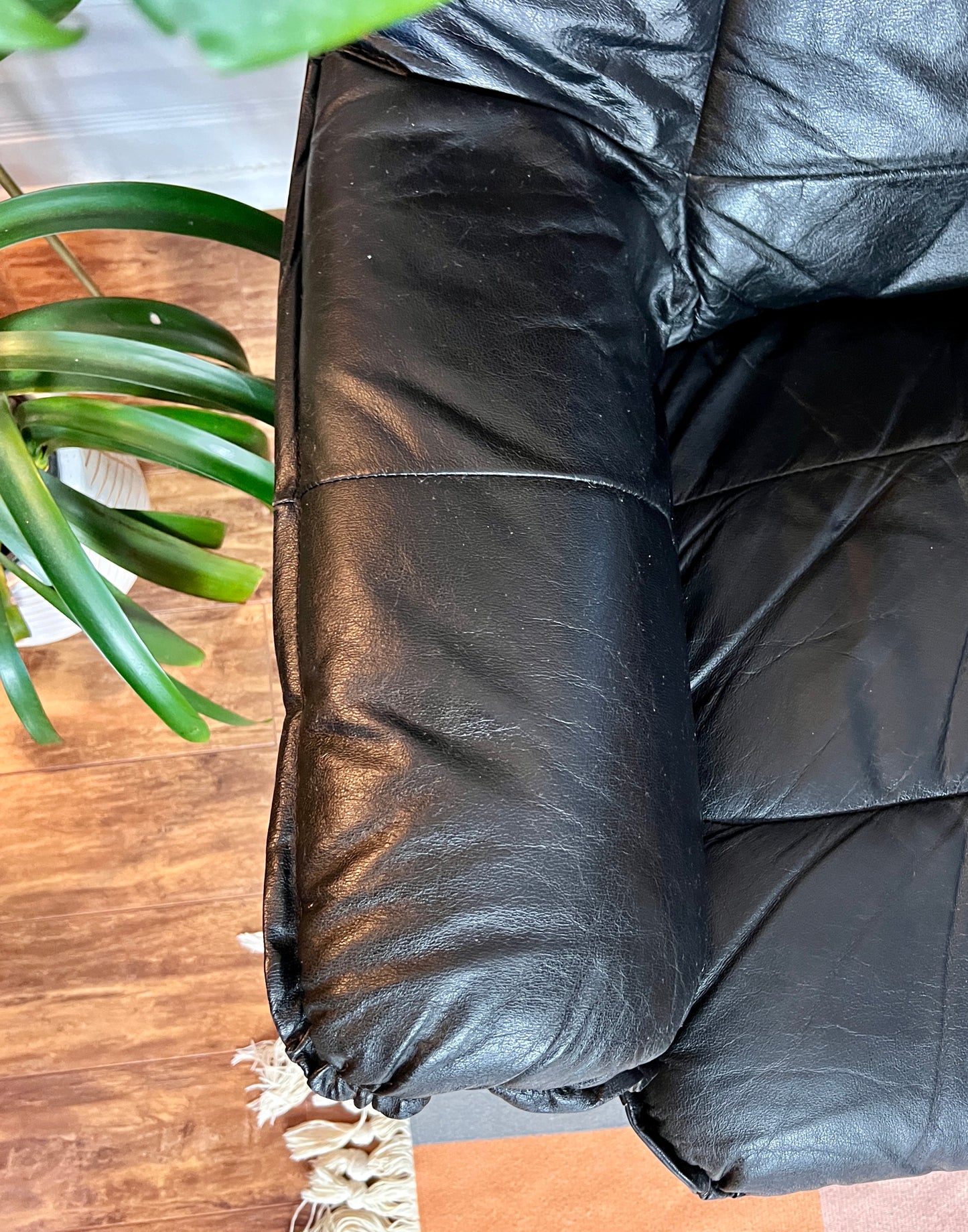 The Black Stallion Recliner & Ottoman