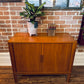 Danish Teak Record Cabinet