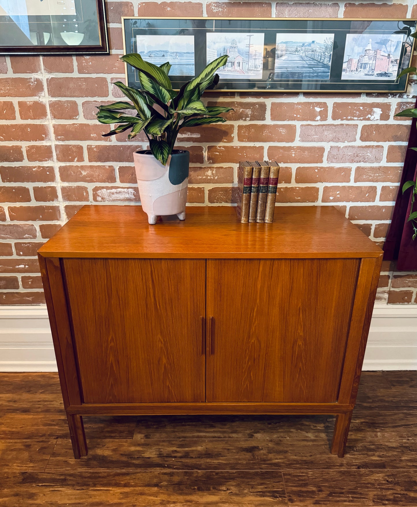 Danish Teak Record Cabinet