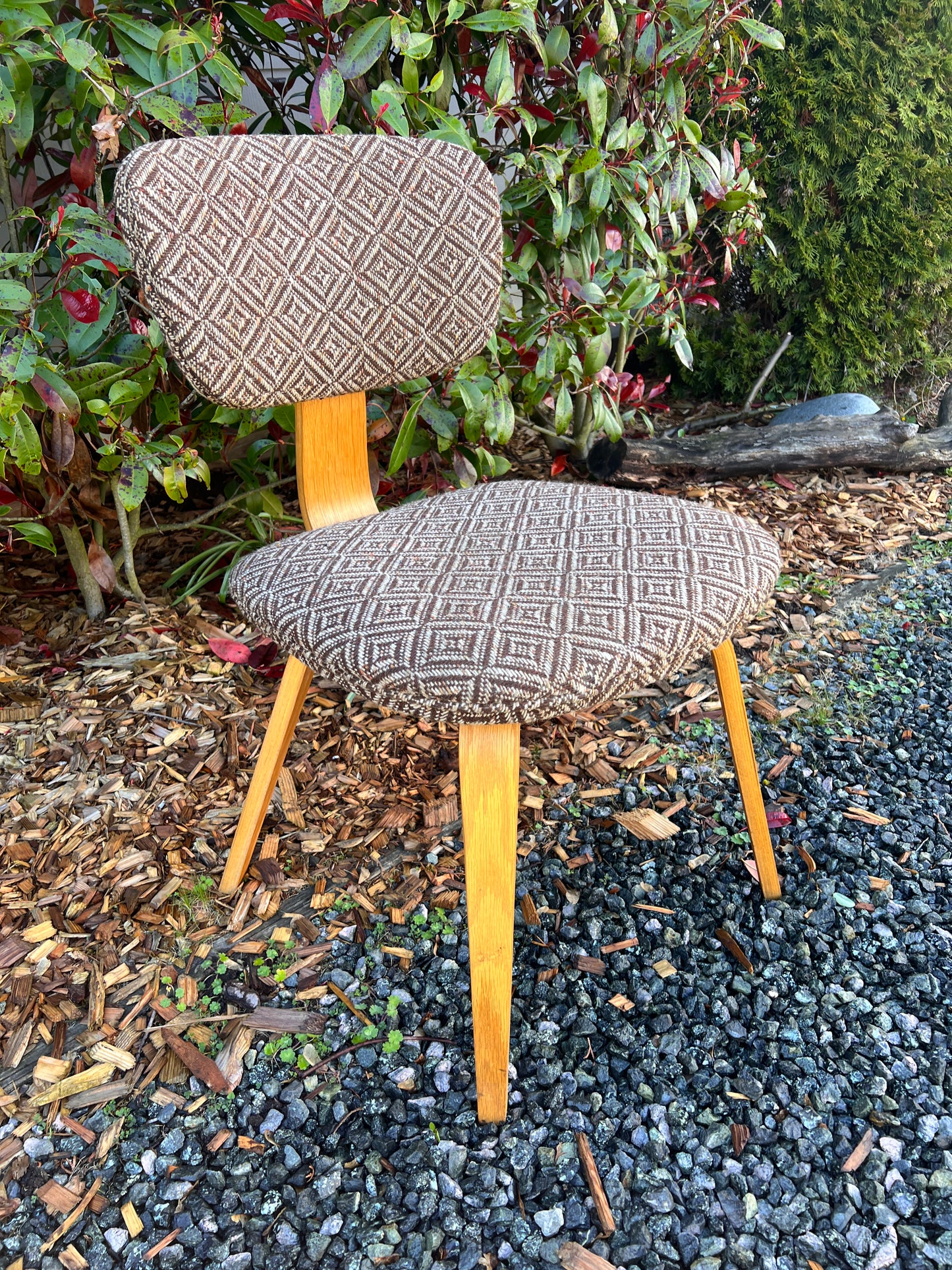 The Jacquard Bentwood Chairs
