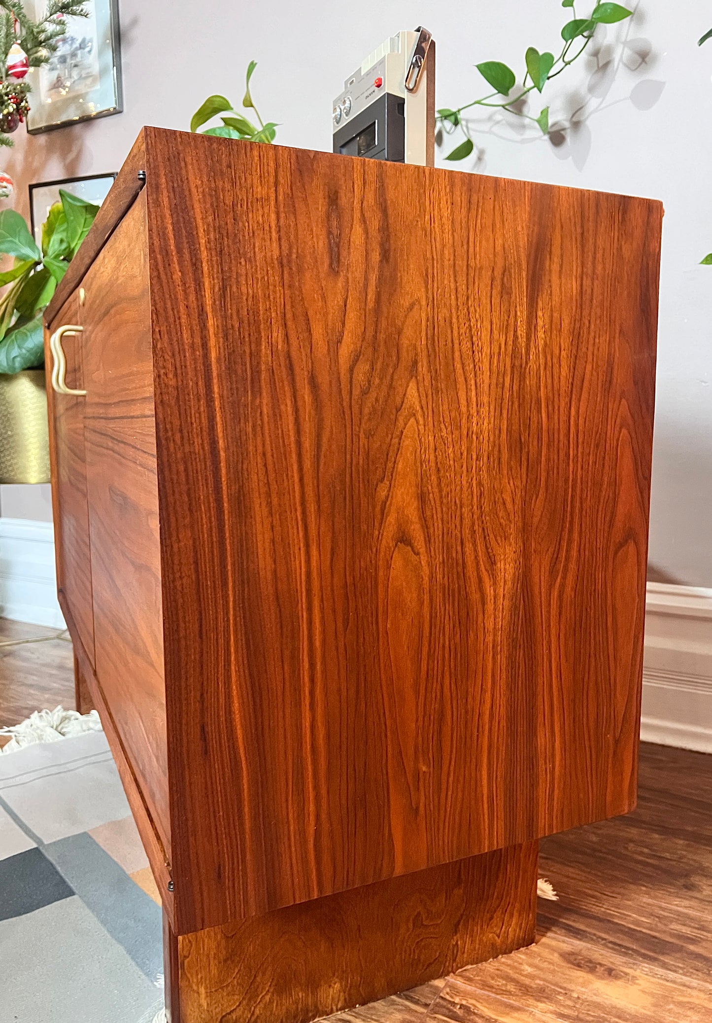 The Petras Rosewood Cabinet