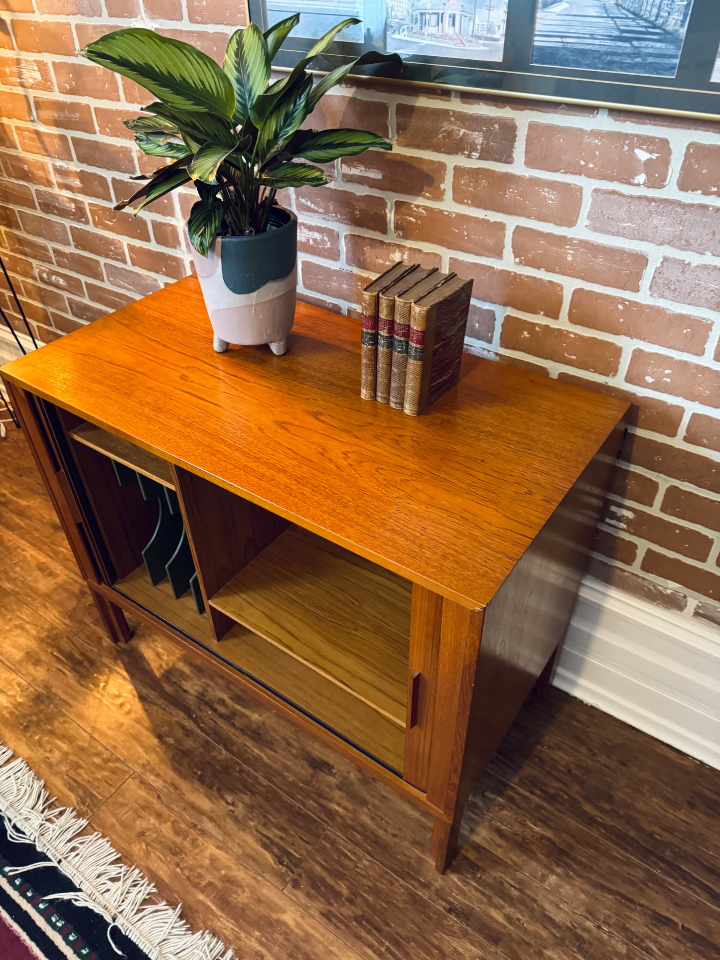 Danish Teak Record Cabinet