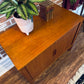 Danish Teak Record Cabinet