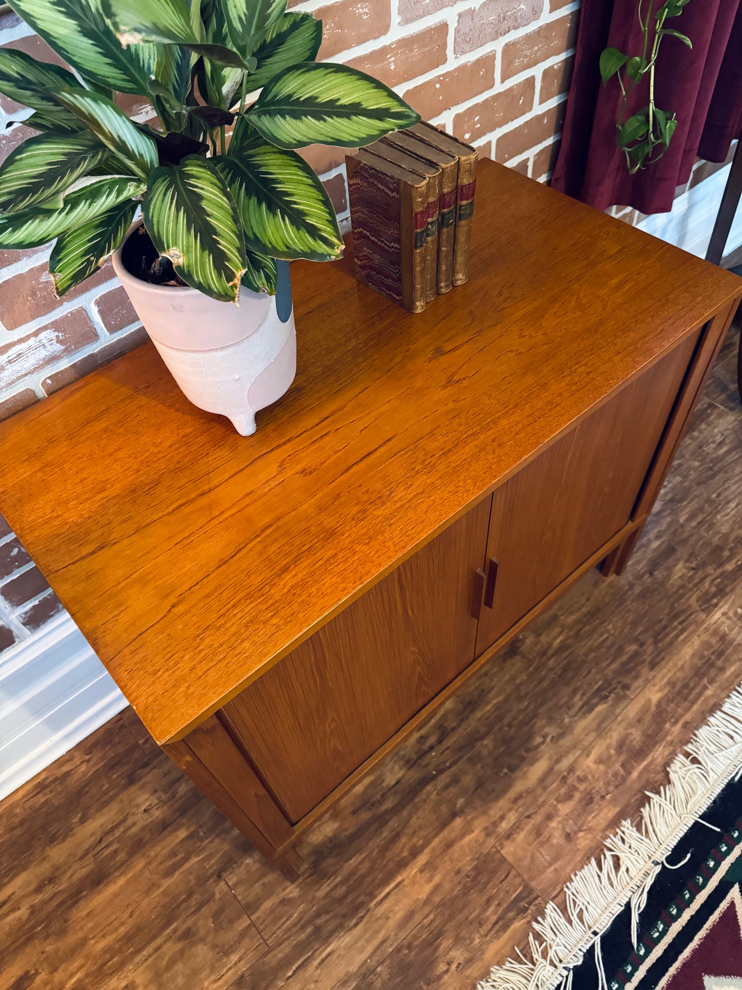 Danish Teak Record Cabinet