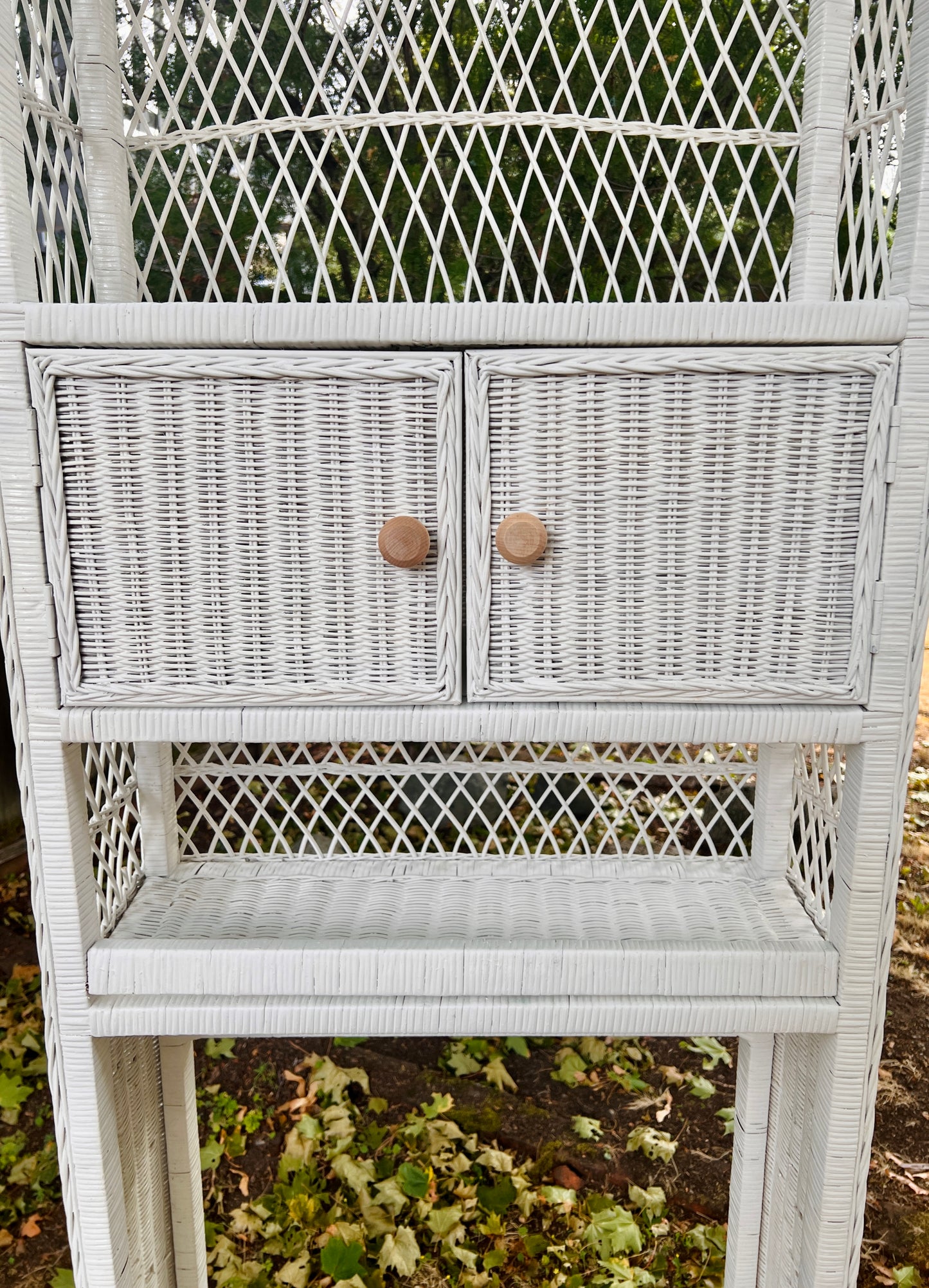 The Over the Commode Storage