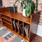The Regna Teak Record Cabinet